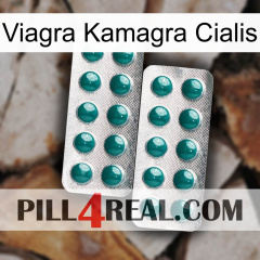 Viagra Kamagra Cialis dapoxetine2